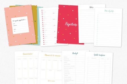 fichiers-bonus-planner-a-imprimer.jpg