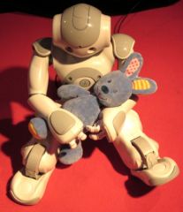 TGS 2011 : robot et peluche