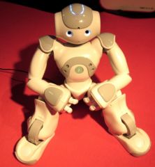 TGS 2011 : robot