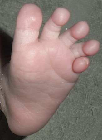 Pieds de Mayara Pieds de Mayara