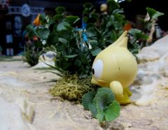 Paris Japan expo Dofus figurines