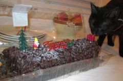 buche noel 2011 avec le chat