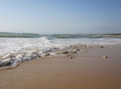 L'une des plages de l'ïle d'Oléron